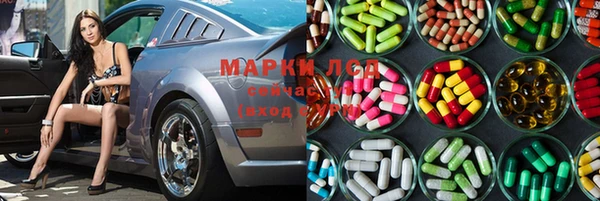 гидра Магас