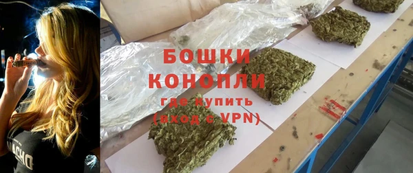 гидра Магас